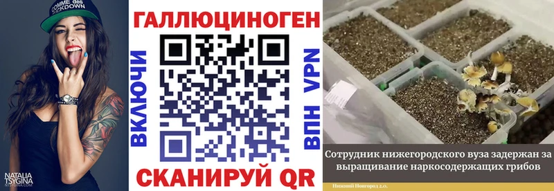 Галлюциногенные грибы Magic Shrooms  darknet Telegram  Орлов 